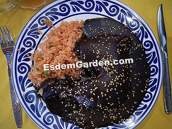 Cocina mundial: nuestras recetas asiáticas