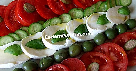 Ensalada de tomates Mozzarella y aceitunas