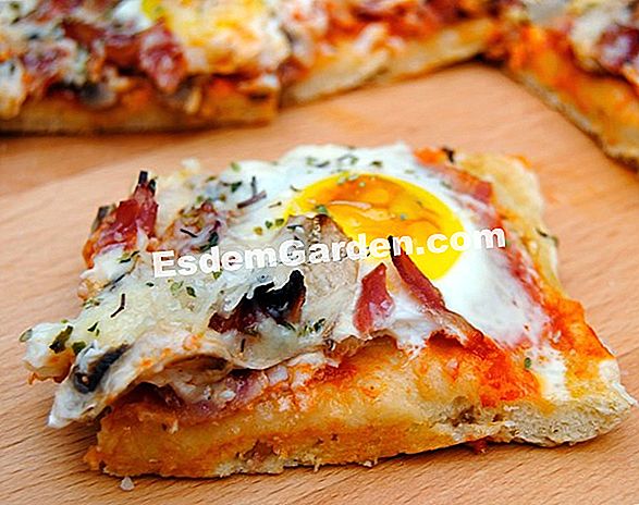 Las nuevas pizzas: pizza de girasol con jamón y pecorino