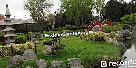Jardín japonés de Pascal LAFORGE para TRUFFAUT