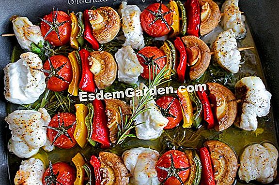 Verduras del sol (tomate, berenjena, pimiento, melón): hacer una buena cosecha