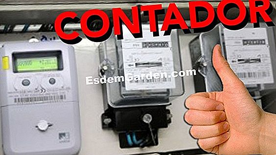 25 Gestos para consumir menos agua en el jardín