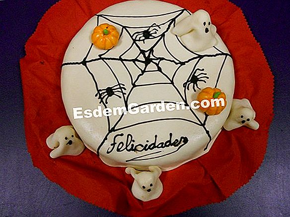 ¿Qué hacer en noviembre en el jardín?