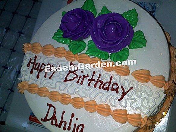Potong dahlia