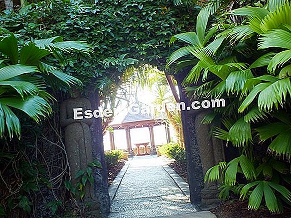 Taman Villa Noailles di Grasse (06)