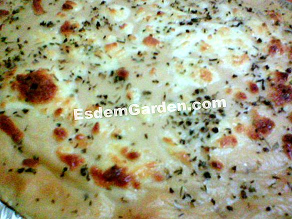 Macaroni gratin dengan tetragon