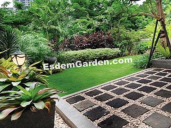 Label Untuk Tanaman Kebun Semua Tentang Berkebun Dan Desain Taman Buat Kebun Zen