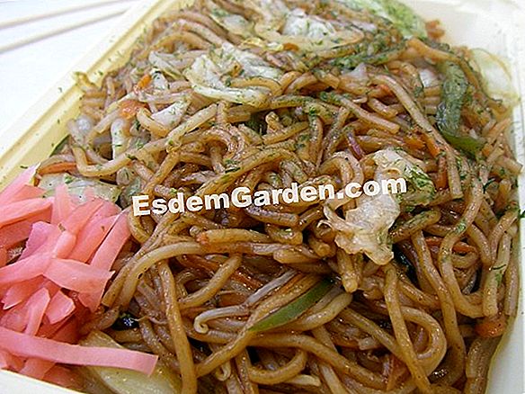 Soba kubis di nurseri
