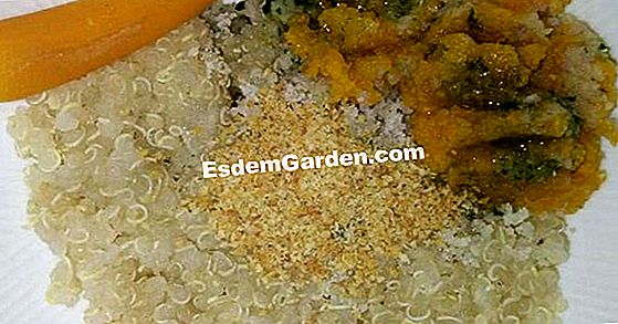 Bayam dengan quinoa