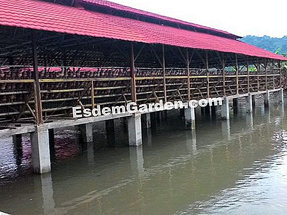 Kandang kolam teleskopik, pintu gelangsar padat
