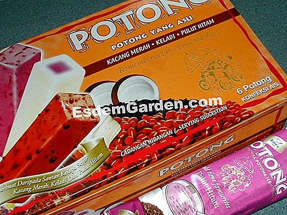 Potong viburnum (bola salji)