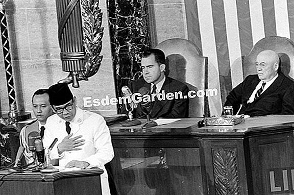 Sayuran yang baik berkembang di rantau Barat