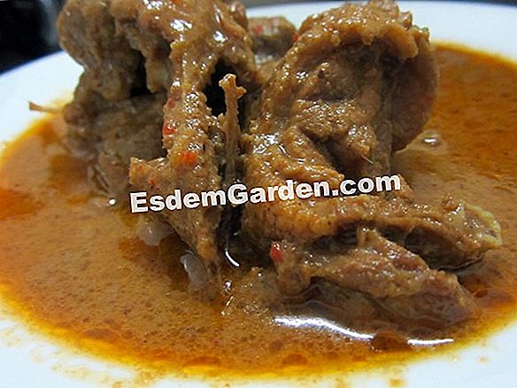 Adas bulat nipis