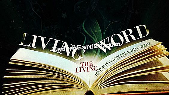 Living Earth Calendar 2014 dell'orto biologico