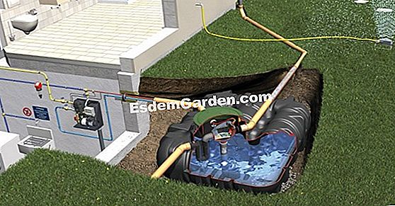 Irrigazione del giardino: vasche di recupero dell'acqua piovana