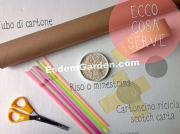 Come avere una bella bouganville