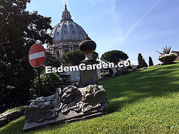 I nostri giardini del giardino preferiti 2013