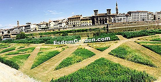 Manutenzione del giardino: bonifica di terreni incolti