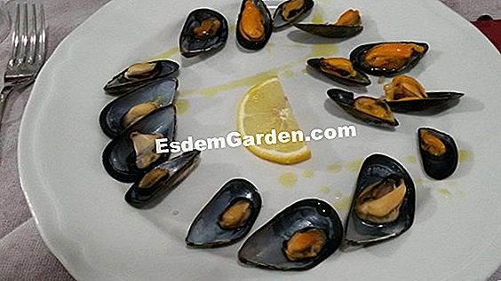 Le virtù del macellaio