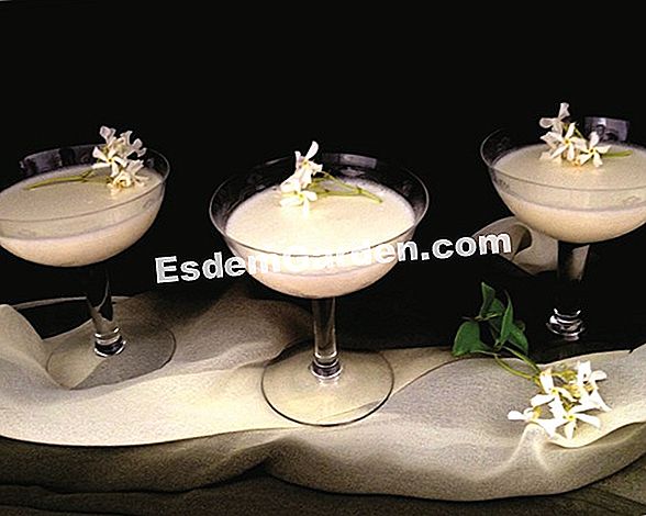 Dessert di pompelmo