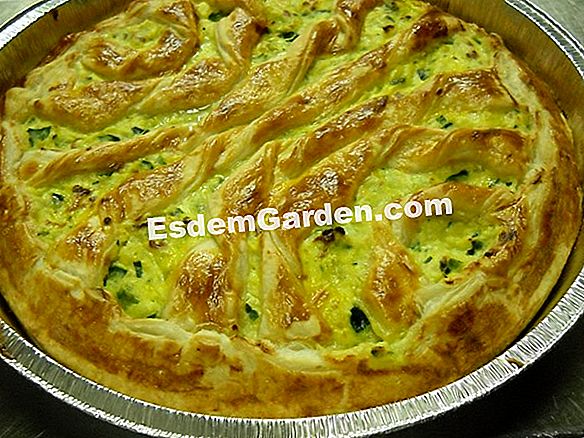 Gratin di avocado con formaggio pecorino