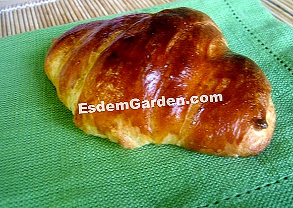Zuppa di germogli di ortica