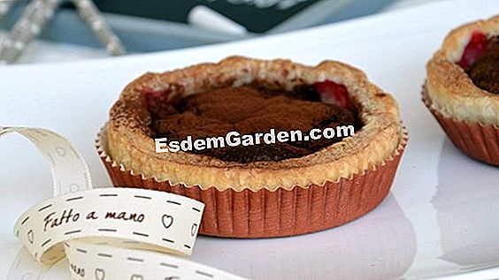 Tartellette di ribes nero