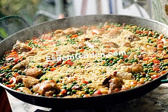 Verdure spagnole
