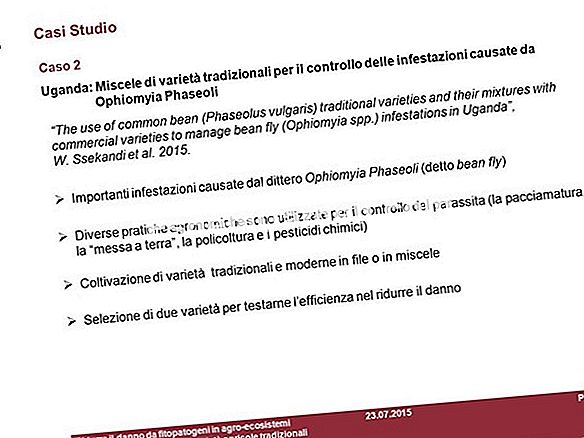 Pacciamatura, pesticidi, ph, brughiere, ibridi F1, ecc.: piccolo lessico bio