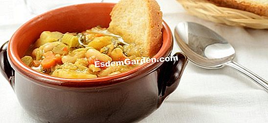 Ricetta della zuppa di cavolo tradizionale