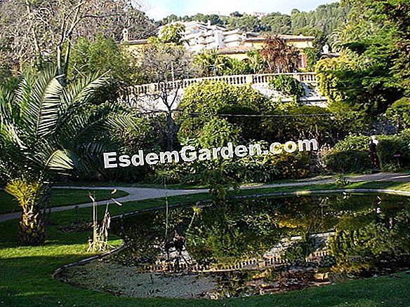 Giardino botanico esotico di Val Rahmeh (06)