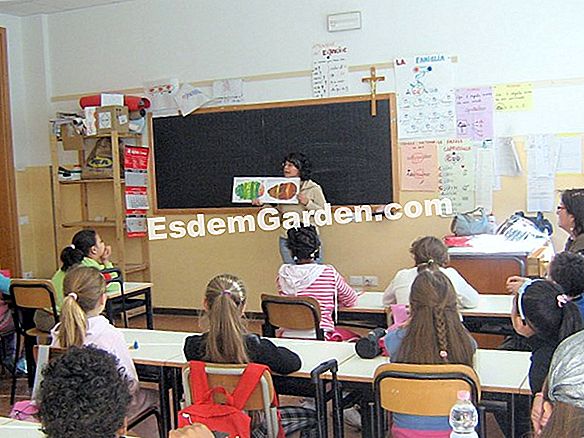 Piantare un bordo in 5 passi