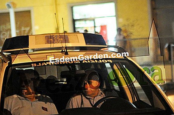 Pulizia di fine estate: un prato pulito.