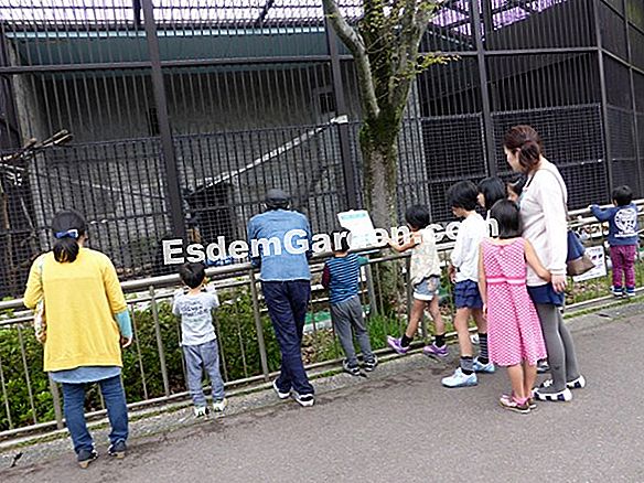 春と夏の野菜のプログラム苗