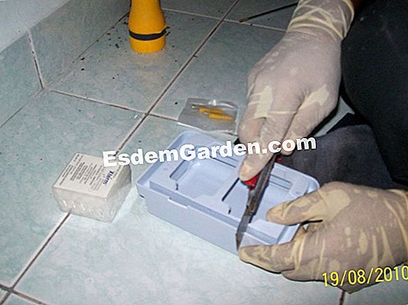 Sarang pertama: kerja penyelenggaraan