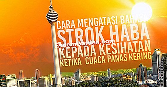 Pada awal musim panas, penuaian madu pertama