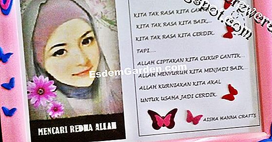 Tiada rahmat untuk kutu!