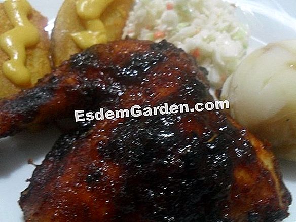 Ayam panggang yang indah, kebanggaan barnyard