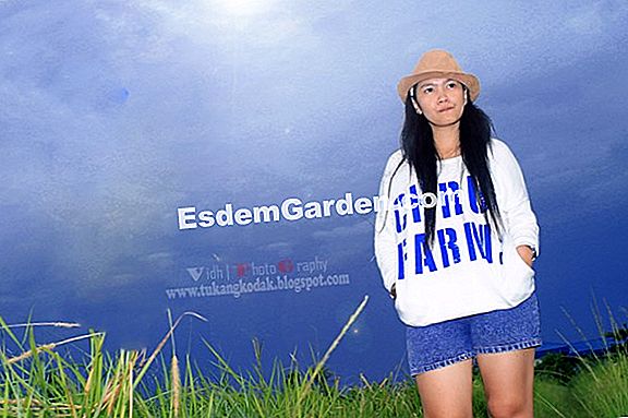 Lebah sensitif terhadap masa