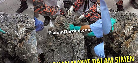Keluarkan dan pecahkan peony