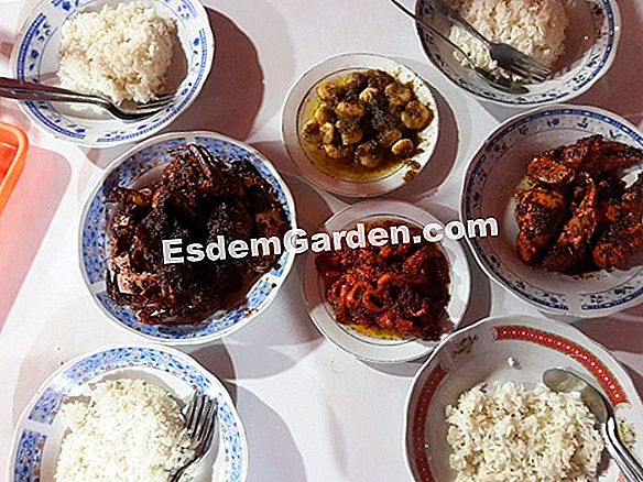 Bagaimana untuk mempunyai mentega taman yang indah