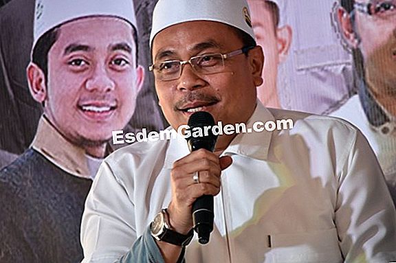 Benih dalam pukulan
