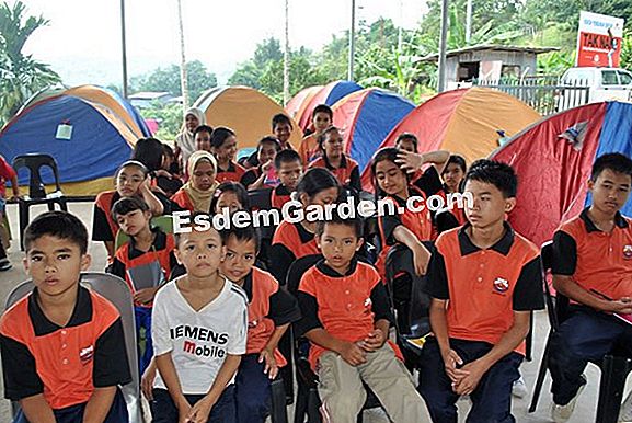 Isyarat yang baik untuk membahagikan dan menanam bunga lily di lembah