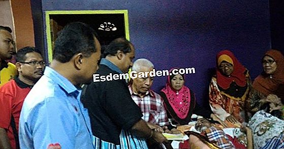 Latihan dalam sawit pir