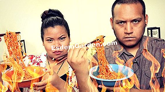 Perlahan-lahan memotong quince penuh angin