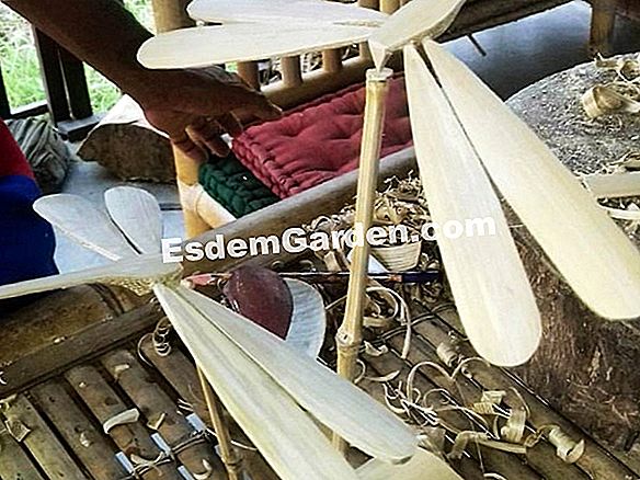 Bagaimana untuk mengukir pokok lemon: petua petua dan berkebun