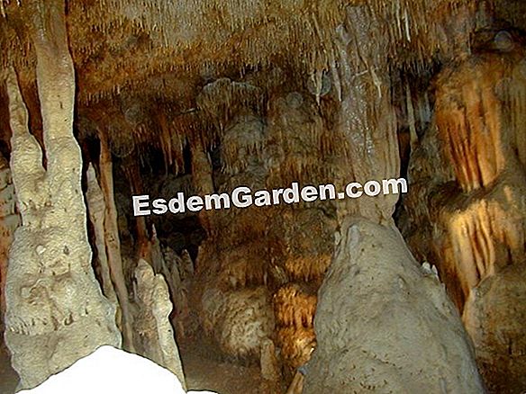 Lorong mineral