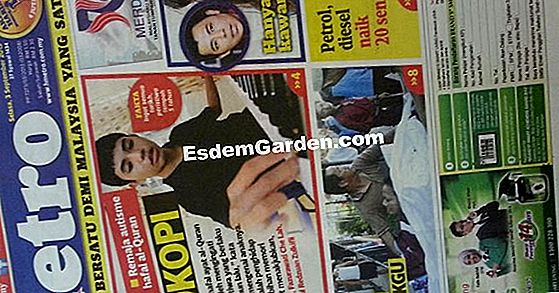Pilih petrol untuk dek kayu
