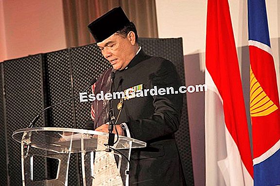 Misi Luar Negeri Paris