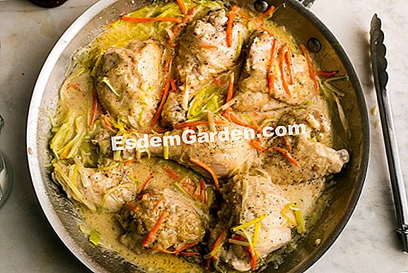 Fricassee ayam dengan lobak merah dan buah zaitun